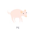 Cute pig vector color characters set. Sketch squirrel in pastel pink colour